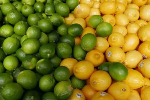 Are limes and lemons okay for dogs to eat?