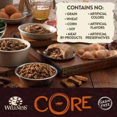 Wellness Core Dog Food Ingredients