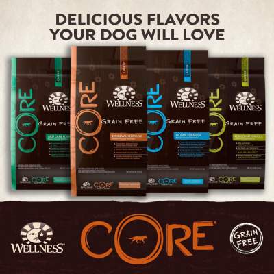 Wellness Core Dog Food Review