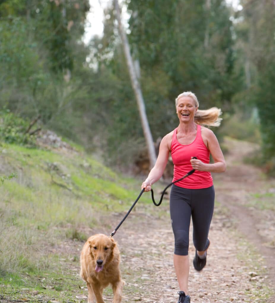 Labrador Run