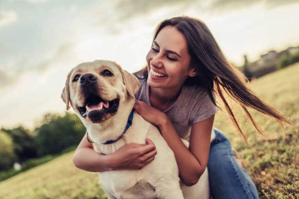 Healthy Labradors