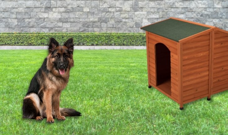 What to Look for When Choosing the Best Dog House for German Shepherd
