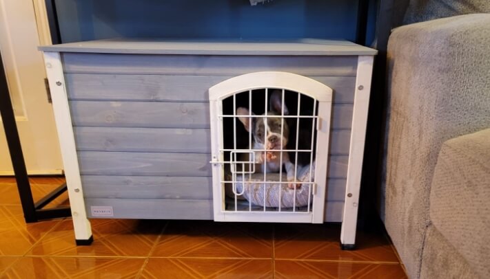 Are Indoor Dog Houses Worth it