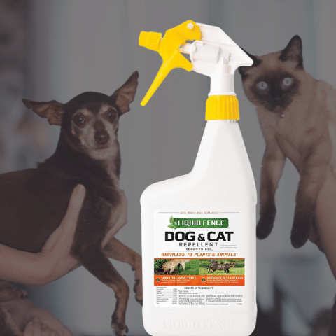 Cat Repellent Spray Liquid Dog & Cat Repellent