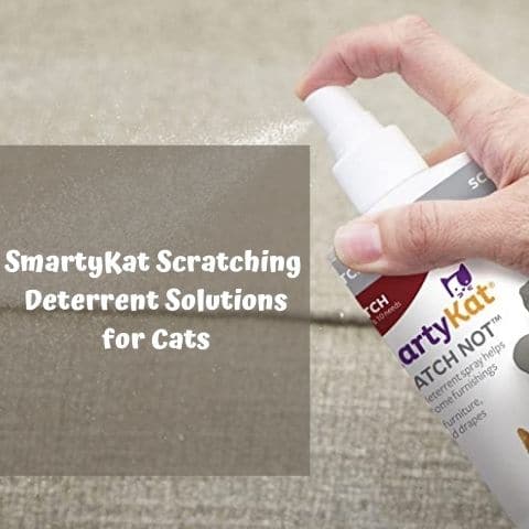  SmartyKat Scratching Deterrent Solutions for Cats