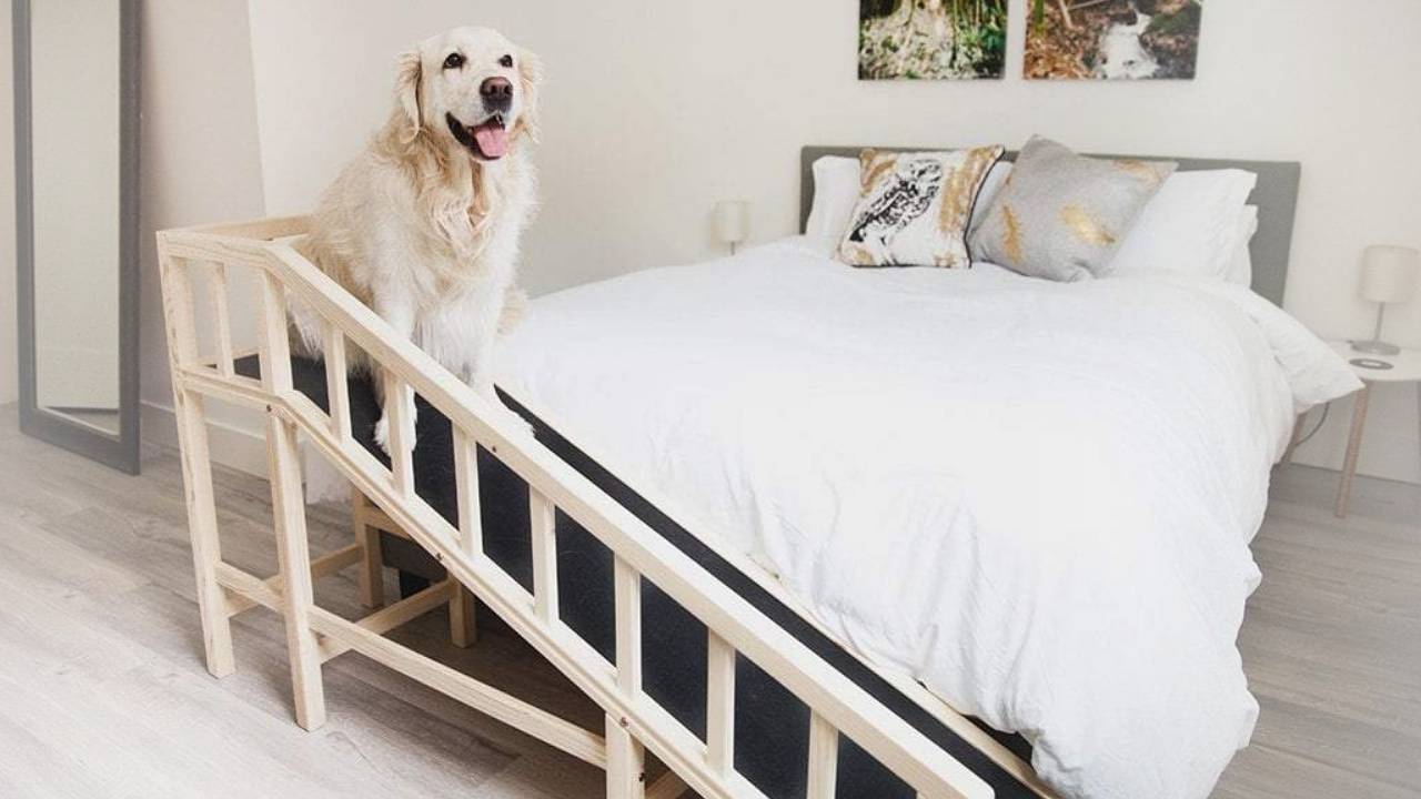best dog ramp for bed - best dog ramp for jeep - in-depth review with buying guide