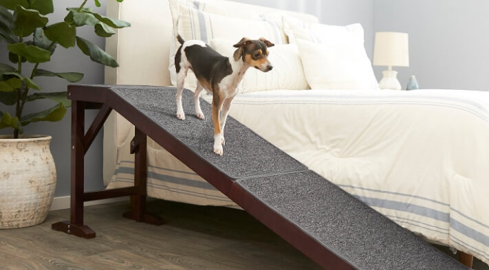 how to choose the Best Dog Ramp for Bed