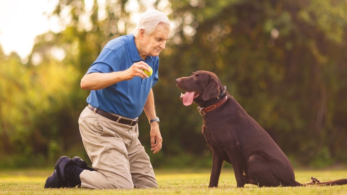 25 Worst Dog Breeds For Seniors (Expert Advice)