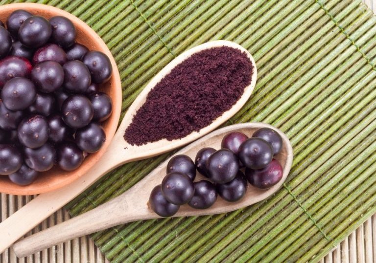 Can Dogs Eat Acai? Are Acai Berries Or Bowls Safe? | Puplore