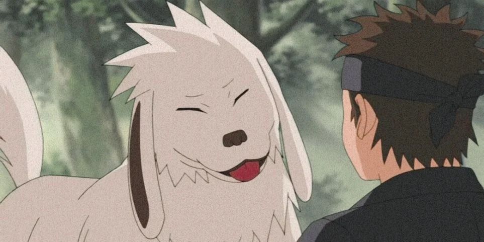 Akamaru And Kiba from Naruto