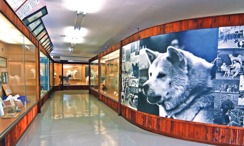 Akita Dog Museum - Odate, Japan