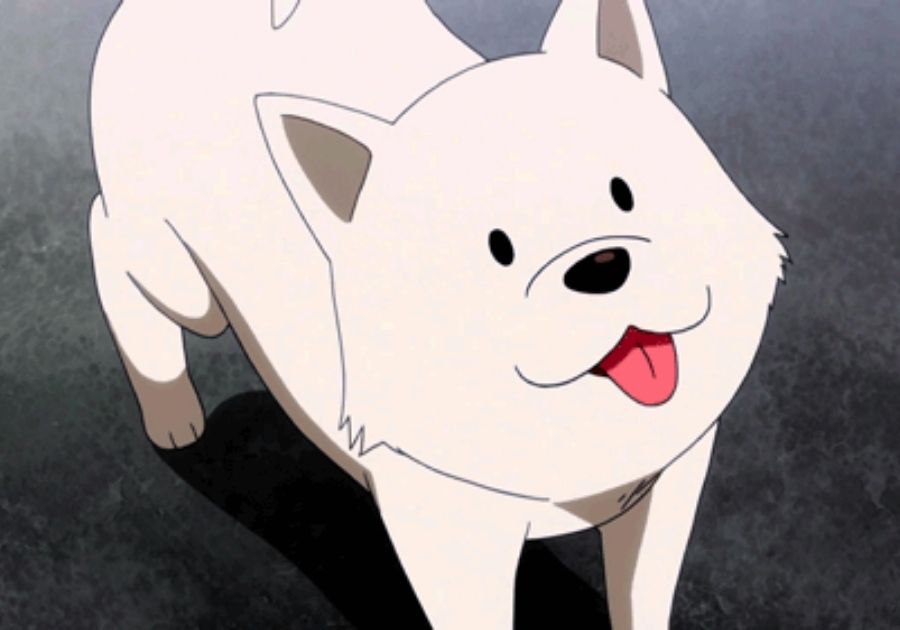 An Unnamed Dog from Gabdro Wikia