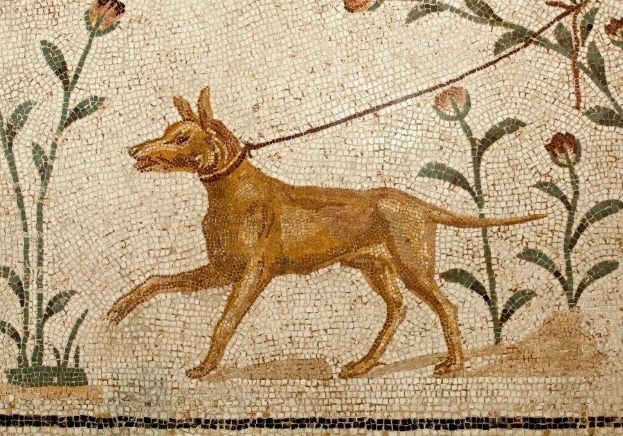 Ancient Dog Mosaic