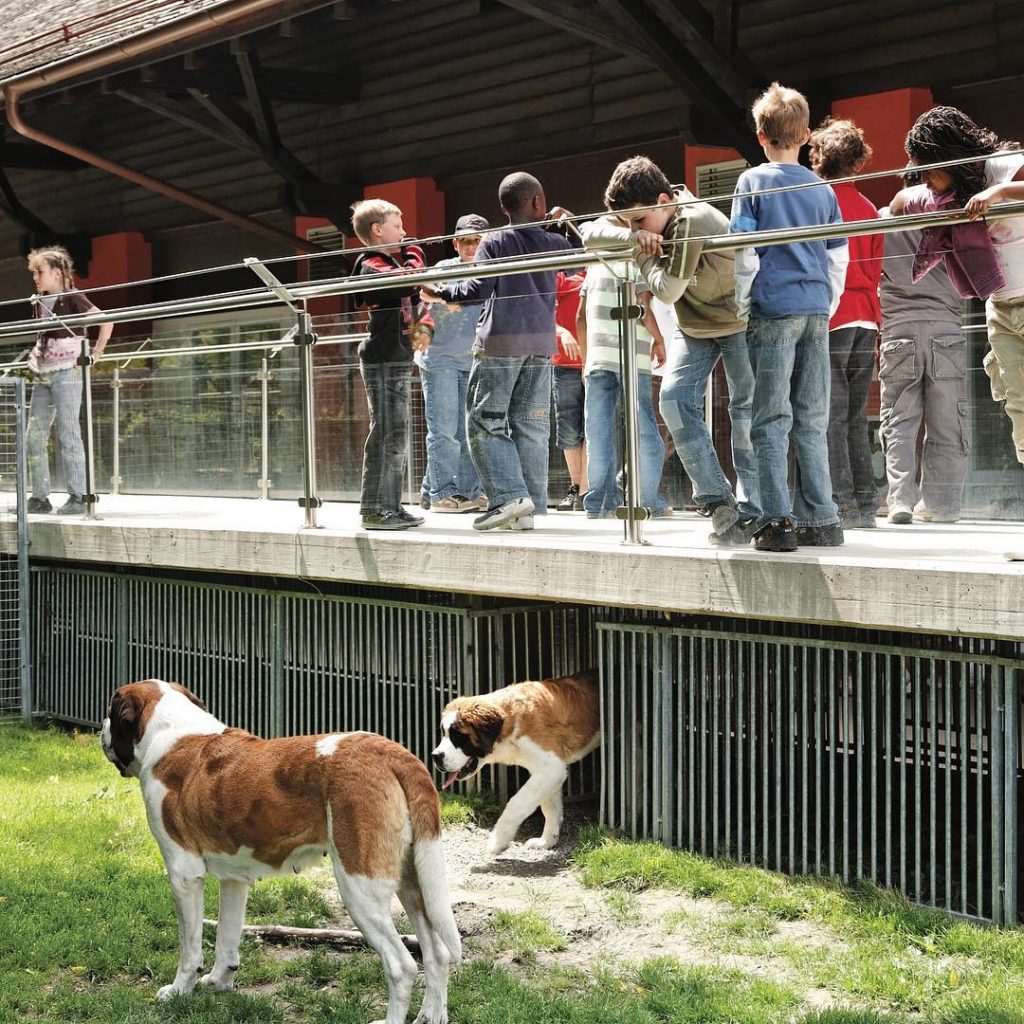 Barryland - The St. Bernard Museum