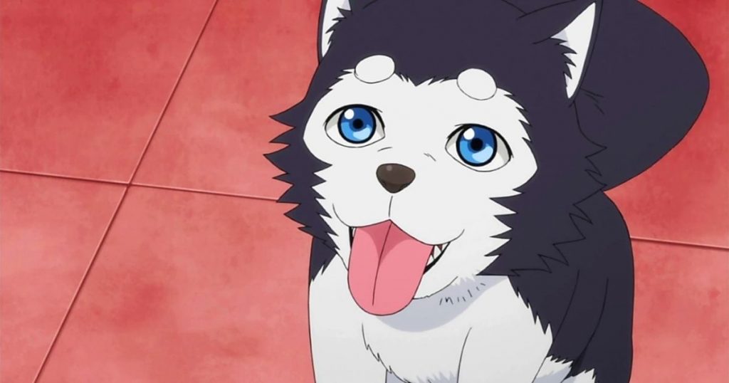 60 Best Anime Dogs That Stole Our Hearts (With Pictures) | Puplore