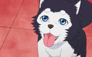 60 Best Anime Dogs That Stole Our Hearts (With Pictures)
