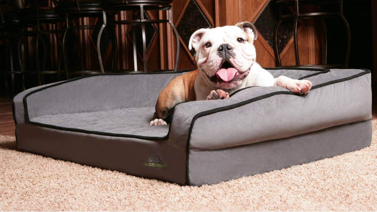 Best Dog Beds for English Bulldogs reviews with buying guide