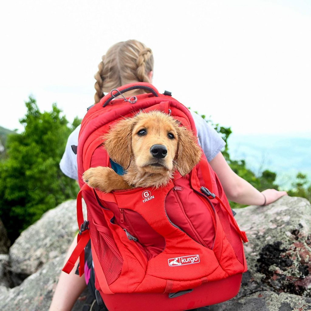 Best Dog Carrier Backpack