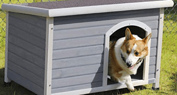 10 Best Dog House For Husky Reviews (FAQ & Buying Guide)