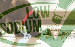14 Best Low Sodium Dog Foods 2022