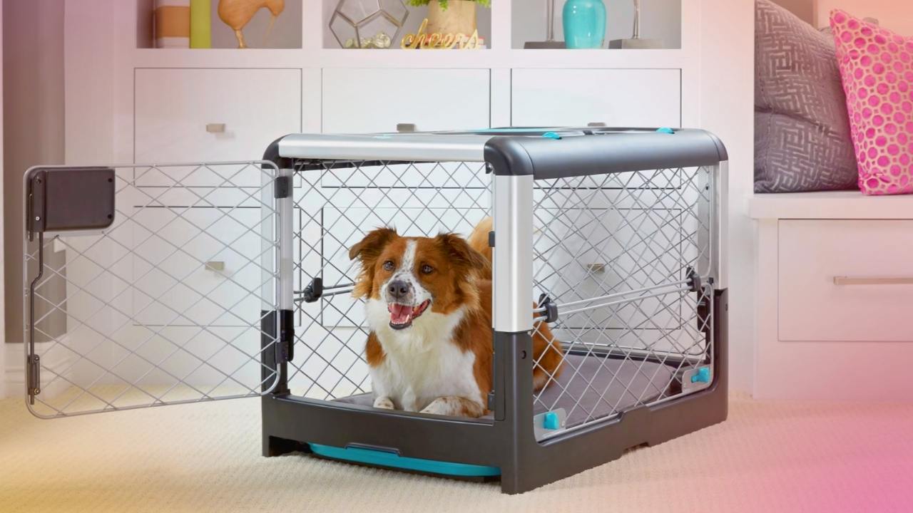 Best Portable Dog Crate - in-depth buying guide