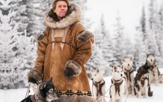 29 Best Sled Dog Movies Ever (Some On Netflix & Prime)