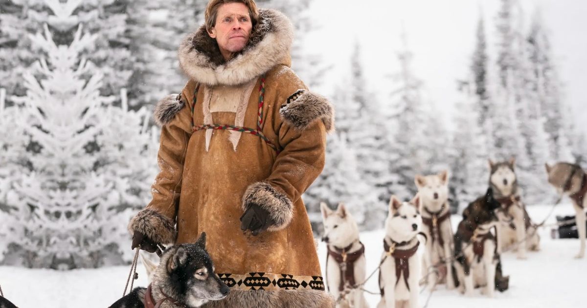 Best Sled Dog Movies Ever (Some On Netflix & Prime)