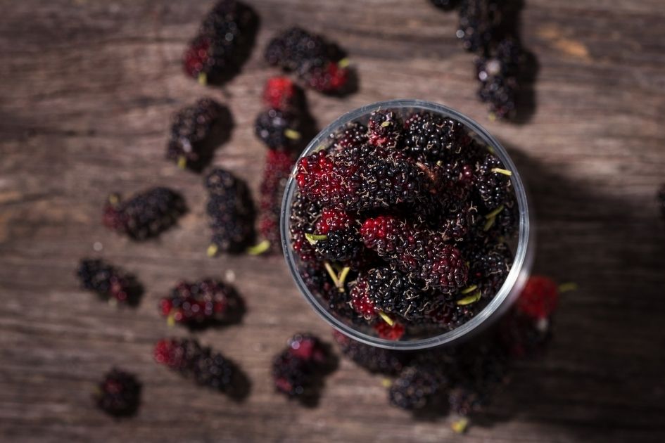 Black Mulberries in a Bowl on the Table