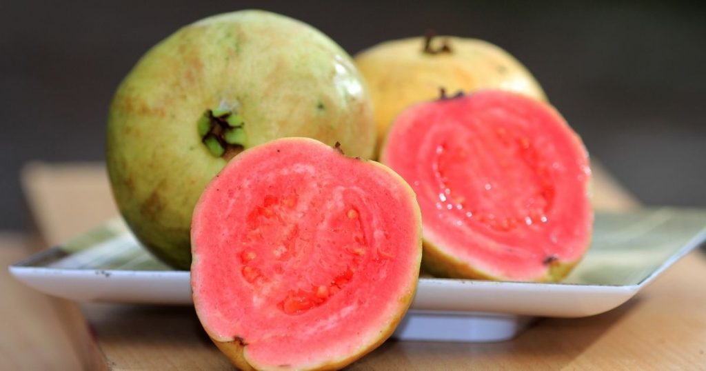 Can Dogs Eat Guava? Is Guava Safe For Dogs? | Puplore