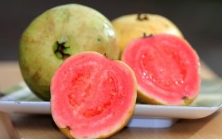 Can Dogs Eat Guava? Is Guava Safe For Dogs?