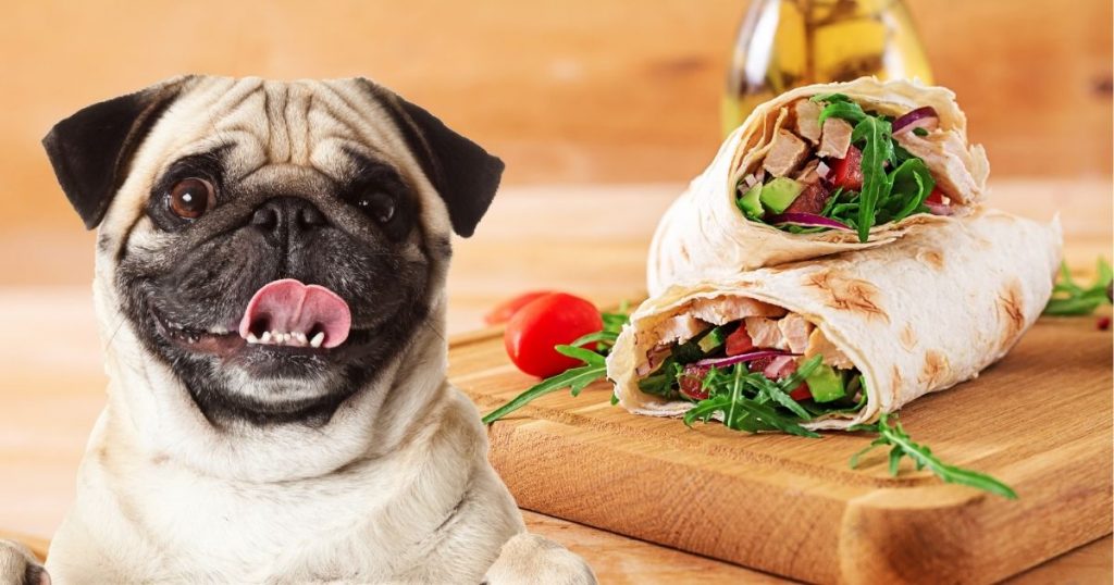 Can Dogs Eat Flour Tortillas