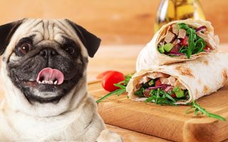 Can Dogs Eat Tortillas? (Flour, Corn Or Tortilla Chips)