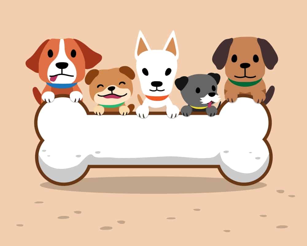 Cartoon dogs with bone