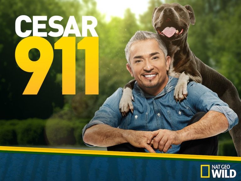 Cesar Millan TV Shows (Better Human Better Dog & More) | Puplore