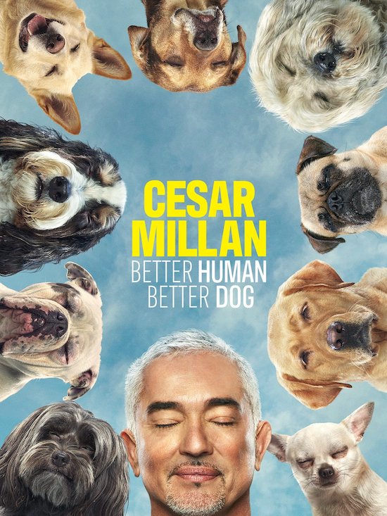 Cesar Millan - Better Human Better Dog - Poster