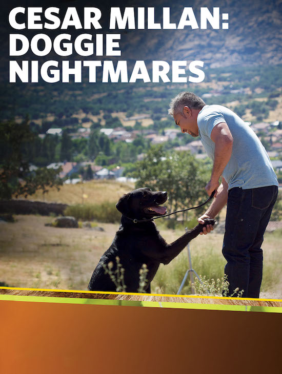 Cesar Millan- Doggie Nightmares Poser