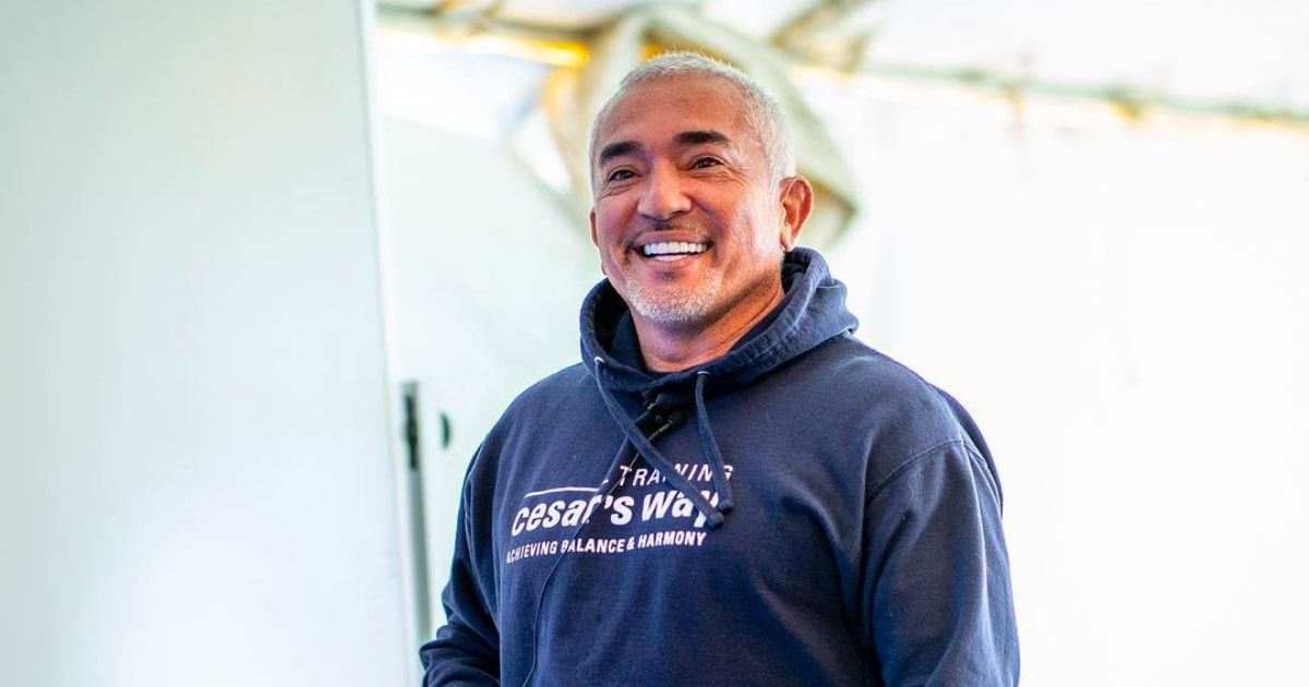 Cesar Millan Net Worth & Bio – A Rags to Riches Story