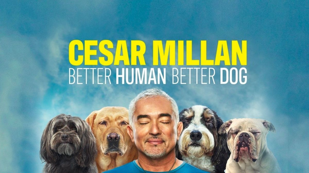 Cesar Millan TV Shows (Better Human Better Dog & More)