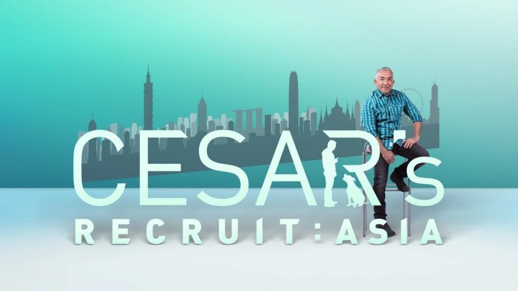 Cesar's Recruit: Asia