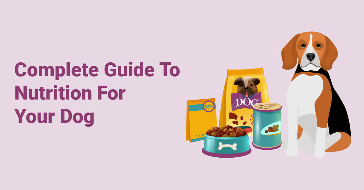 Complete Guide To Nutrition For Your Dog