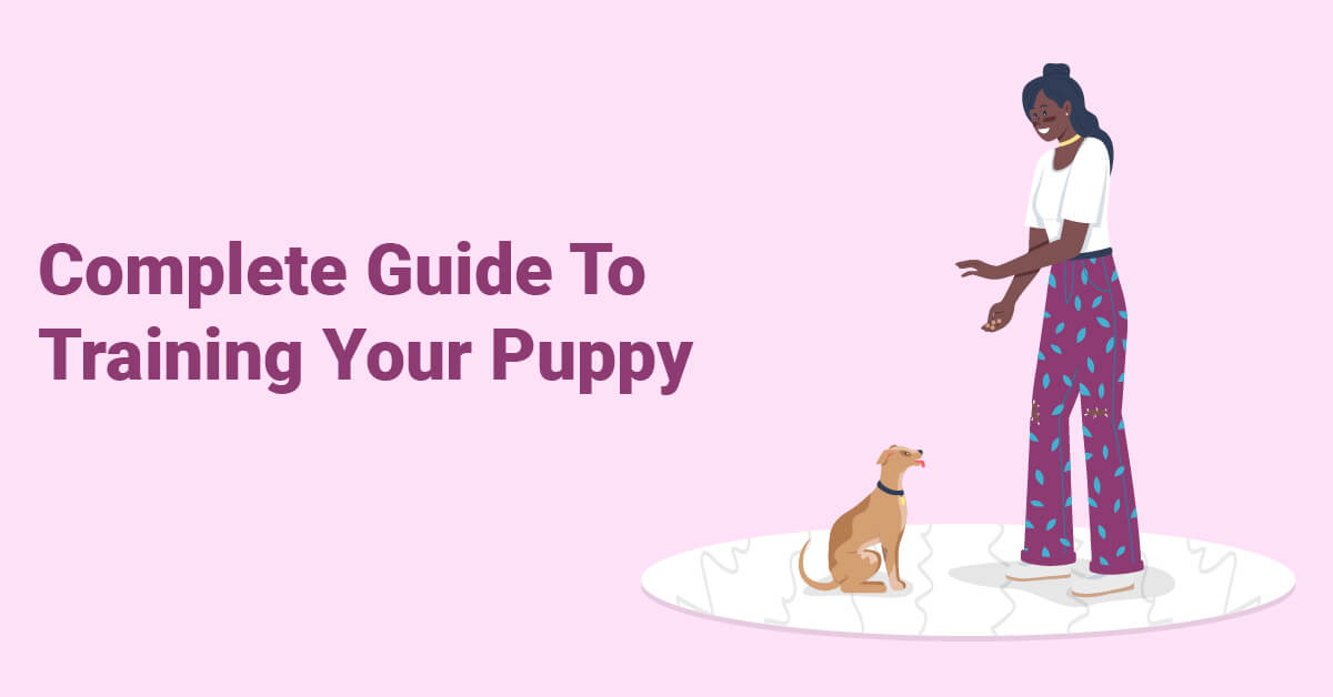 Complete Guide To Training Your Puppy