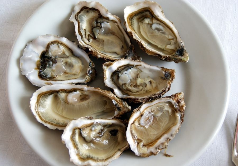 Cooked Oysters in a Plate