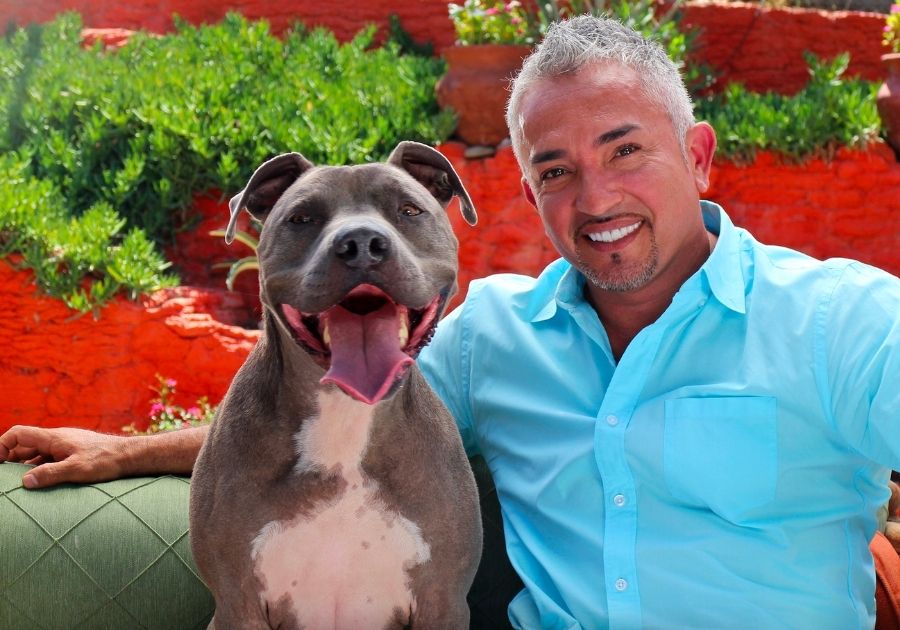 DOG WHISPERER WITH CESAR MILLAN FAMILY EDITION IMAGE