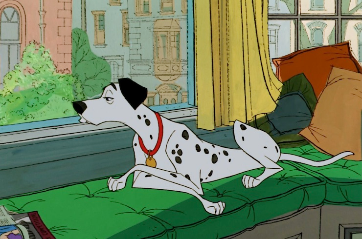 A Dalmatian Dog in the Film