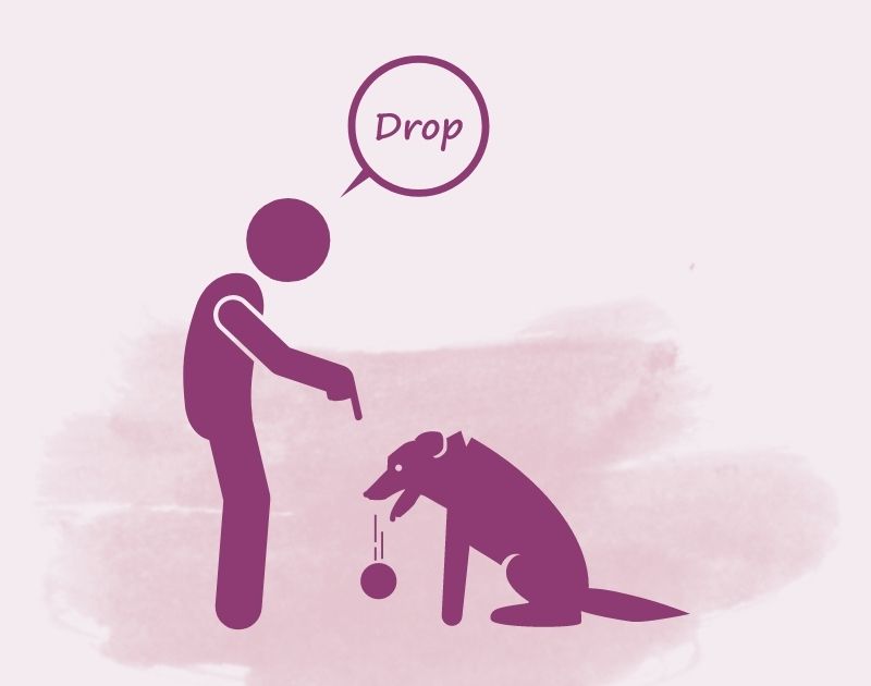 Dog Training - Drop Command