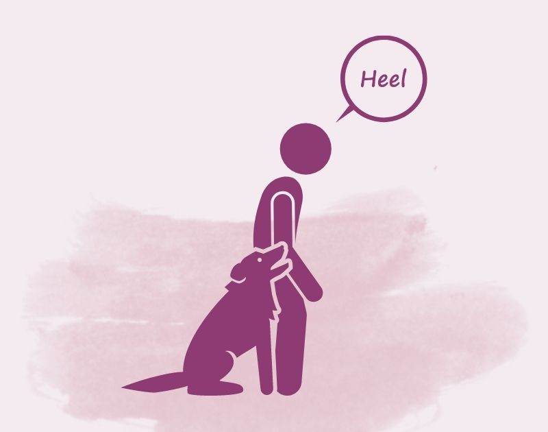 Dog Training - Heel Command