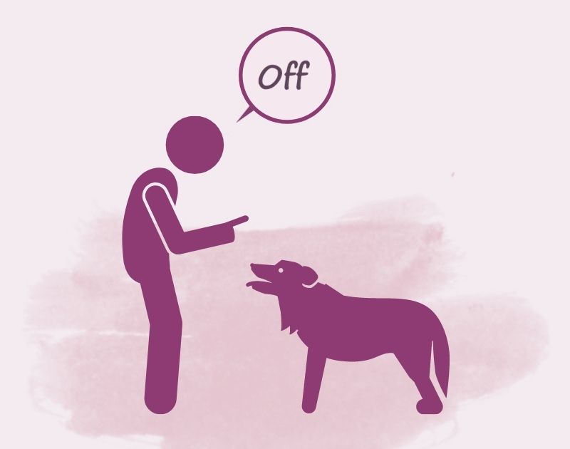 Dog Training - Off Command
