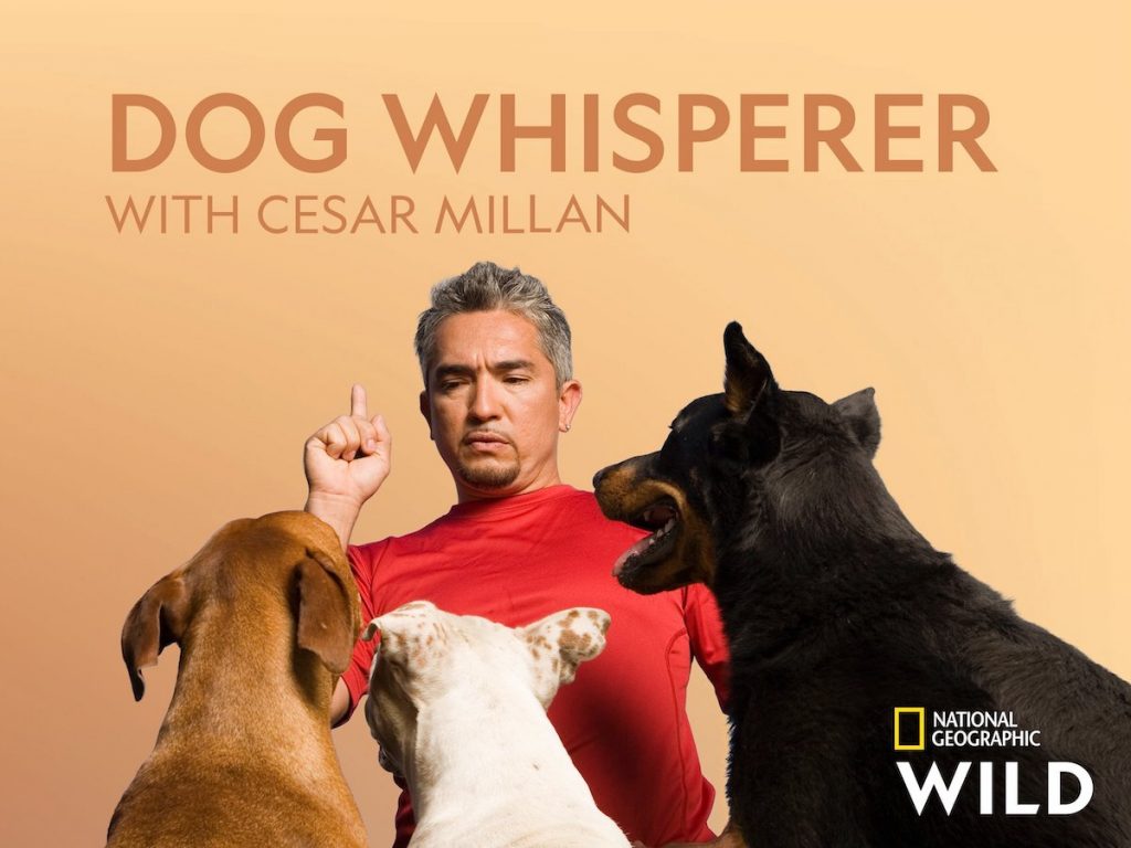 Dog Whisperer With Cesar millan