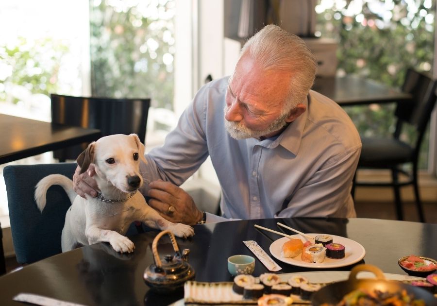 Dogs with Man in Restaurant