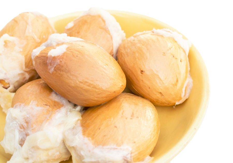 Durian Seeds on White Background